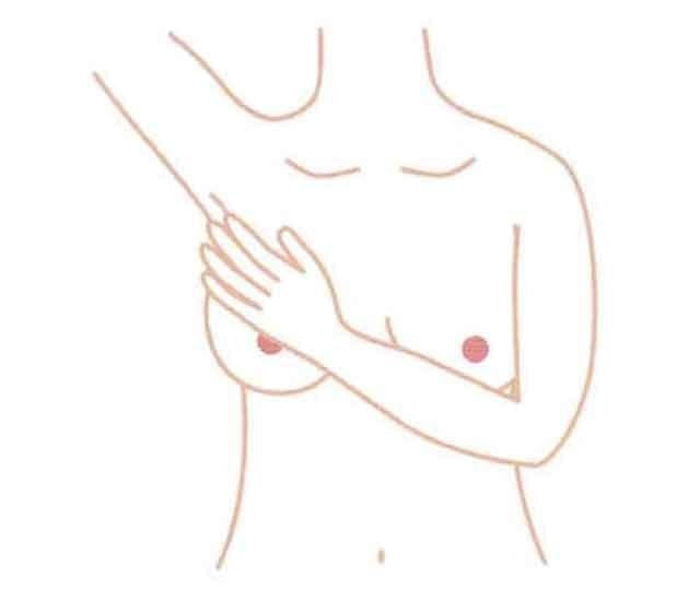 触る